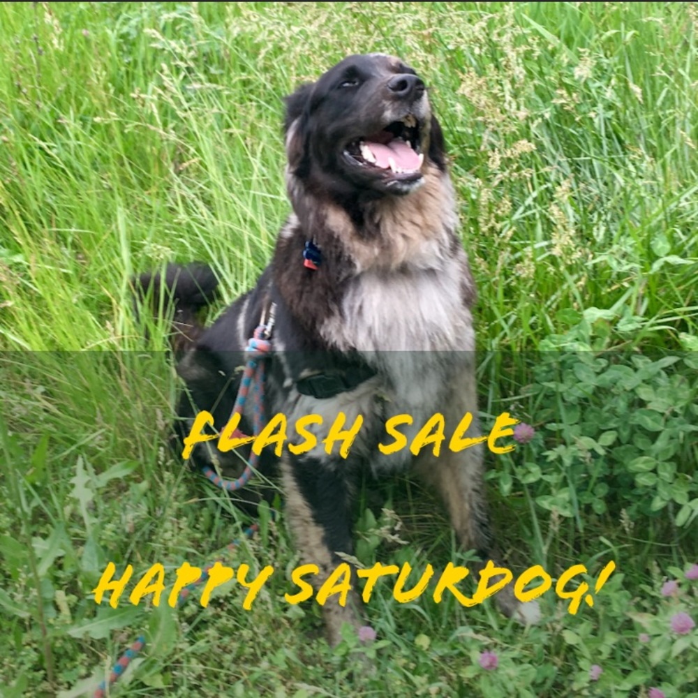 ⚡️ F L A S H S A L E ⚡️anthro +free people +more!